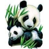 NEW WILDLIFE T SHIRT   Panda Mother & Baby Panda  