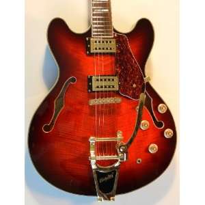  Shine Wno650 Bigsby Custom (Brown Burst) Musical 