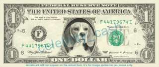 Beagle Dollar Bill   Mint!  