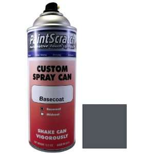  12.5 Oz. Spray Can of Storm Grey (matt) Touch Up Paint for 