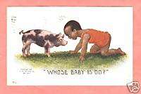 BLACK BOY LOOKING AT A B&W PIG WHOSE BABY IS OO? CUTE  