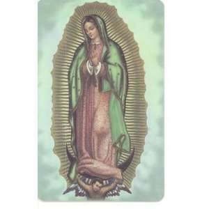  Our Lady of Guadalupe   Pocket Prayer Cards   Prayer Cards 