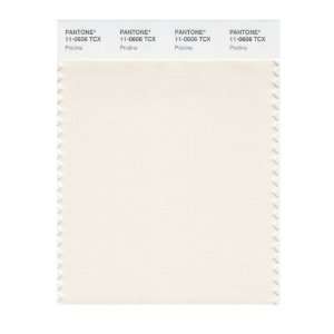   PANTONE SMART 11 0606X Color Swatch Card, Pristine: Home Improvement