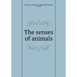   The senses of animals, L. Harrison Knight, Maxwell. Matthews Books