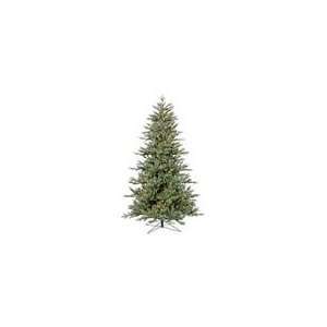   22974   7.5 x 55 Med Blue Noble Fir 500 Warm White It: Home & Kitchen