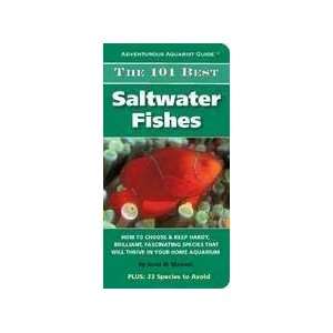   Adventurous Aquarist Guide  101 Best Saltwater Fishes