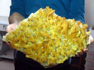 31.8LB，sharp yellow QUARTZ cluster,perfect crystal ：）  