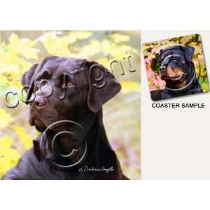    Labrador Retriever Dog Drink Coasters   Chocolate