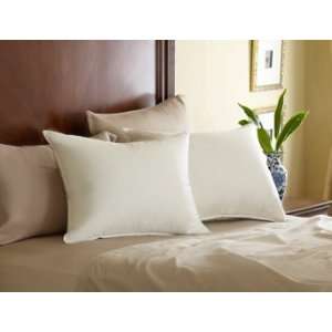    Pacific Coast   Eurofeather Fill Pillow   Standard