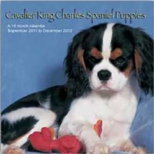  Cavalier King Charles Spaniel Puppies 2012 Wall Calendar 