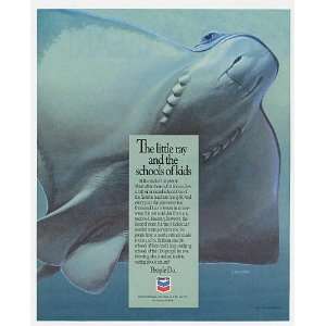  1992 Manta Ray J Dawson art Chevron Oil Print Ad: Home 