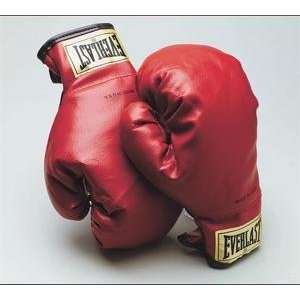  Everlast Laceless Youth Boxing Gloves: Sports & Outdoors
