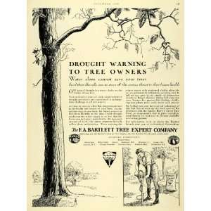  1930 Ad Tree Bartlett Green Tree Food Stamford Surgery 