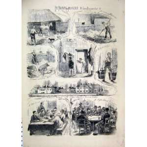  1876 Training Stables Newmarket Dawson Horse Pig Print 