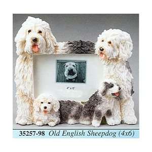  Old English Sheep Dog 4x6 Picture Frame: Home & Kitchen