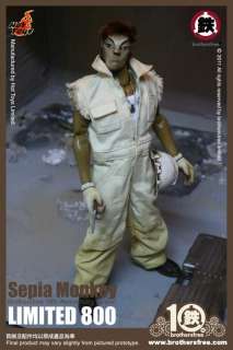 Hot Toys Sepia Monkey Brothersfree 10th Anniversary Ver. Limited 