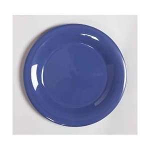   Mardi Gras Melamine Dinnerware 10 1/2 Wide Rim Plate: Home & Kitchen