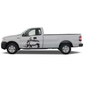 FORD F150 VINYL SIDE GRAPHICS FIT ANY TRUCK RHINO:  Home 