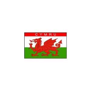  Cymru 5 x 3 Polyester Flag