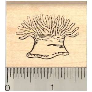  Sea Anemones Rubber Stamp Arts, Crafts & Sewing