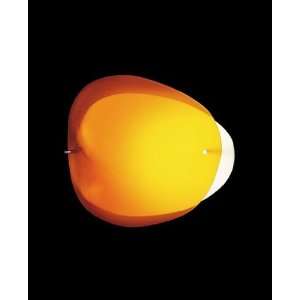   wall/ceiling light   Orange   Inventory Sale !!: Home Improvement