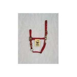  HALTER ADJ. CHIN W/SNAP ARAB, Color RED; Size SMALL 