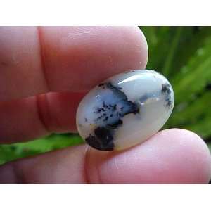  Zs4214 Gemqz Dendrite Agate Oval Cabochon From Indonesia 