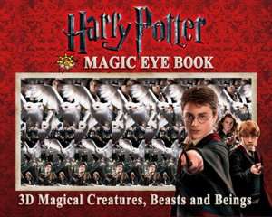 BARNES & NOBLE  Harry Potter Poster Book: Inside the Magical World 