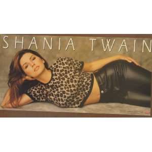  Shania Twain   Come On Over   24x12 Doublesided Poster 
