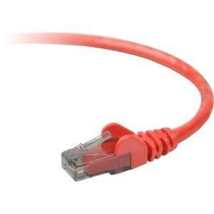   RJ 45 Male Network   RJ 45 Male Network   25ft   Red