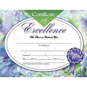   SCHOOL PUBLISHING CERTIFICATES OF EXCELLENCE 30/PK 