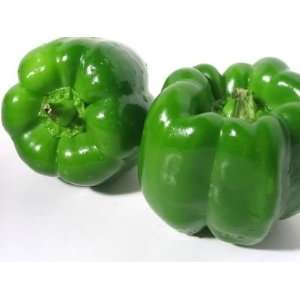    Fajita Bell Pepper   4 Plants   Compact & Hot Patio, Lawn & Garden