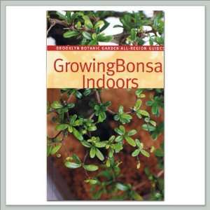  Joebonsai Growing Bonsai Indoors by the BBG Patio, Lawn 