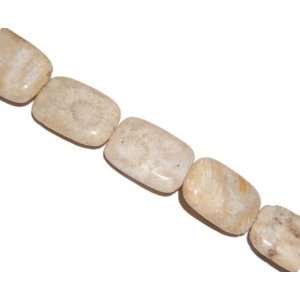  Coral fossil rectangle gemstone beads, 25x18mm, sold per 