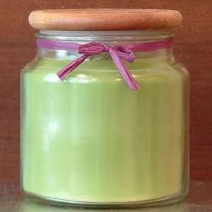  16oz Jar Candle   Lime Fiesta Fragrance