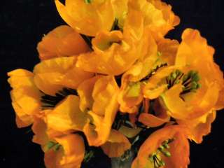 Vintage Millinery Flower Silk Orange Poppy Lot of12 KP3  