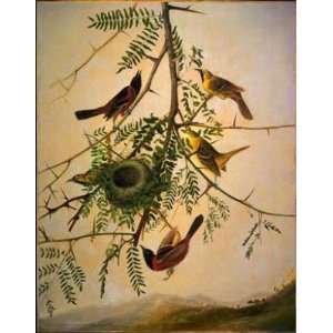  Hand Made Oil Reproduction   John James Audubon   24 x 30 