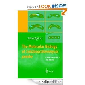 The Molecular Biology of Schizosaccharomyces pombe Genetics, Genomics 