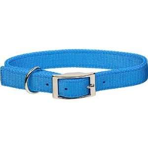  Nylon Personalized Dog Collar in Light Blue, 1 Width: Pet Supplies