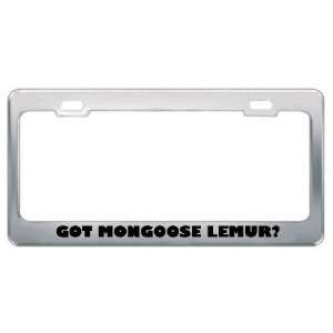  Got Mongoose Lemur? Animals Pets Metal License Plate Frame 