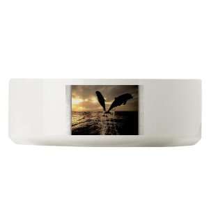  Large Dog Cat Food Water Bowl Dolphins Flying in Sunset 