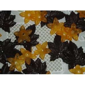    Halloween Gilia Sugar Maple Bead Mix Arts, Crafts & Sewing