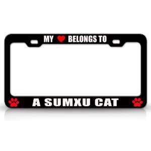  MY HEART BELONGS TO A SUMXU Cat Pet Auto License Plate 