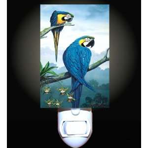  Blue Macaw Parrots Decorative Night Light