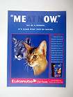 Eukanuba Cat Foods Food lion 2000 print Ad advertisement