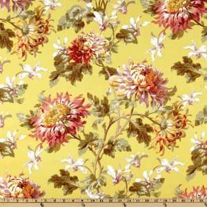   Michael Miller Marlena Apple Fabric By The Yard: Arts, Crafts & Sewing