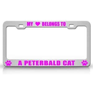  MY HEART BELONGS TO A PETERBALD Cat Pet Auto License Plate 