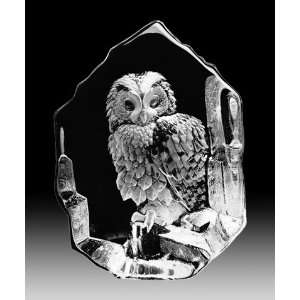  Tawny Owl Crystal Sculpture
