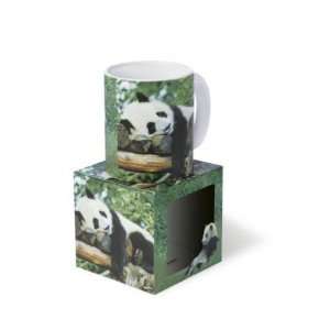  Panda Bears Mug 11oz.