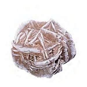  Gypsum Desert Rose Mineral Crystal Rock 1.5 2 Inch w Info 